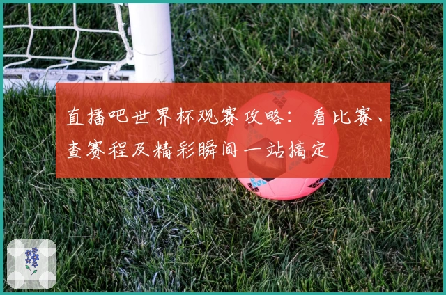 直播吧世界杯观赛攻略：看比赛、查赛程及精彩瞬间一站搞定